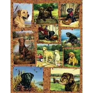  Labrador Photo Gallery Puzzle Toys & Games