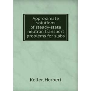  Approximate solutions of steady state neutron transport 