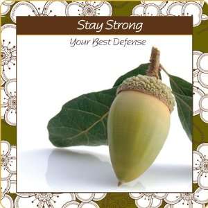 Stay Strong Green Tea  Grocery & Gourmet Food