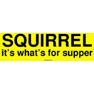 SQUIRREL its whats for supper MINIATURE Sticker 