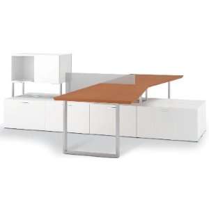   Contemporary 2 Person Teaming Desk Workstation