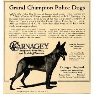   Breeding Training Police Dog   Original Print Ad