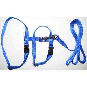  Blue H Style Lead and Harness Set *Small*