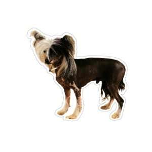  CHINESE CRESTED   Dog Decal   sticker car got graphic 