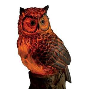 Solar Powered Night Owl
