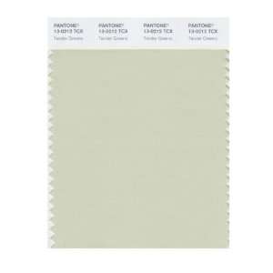  PANTONE SMART 13 0212X Color Swatch Card, Tender Greens 