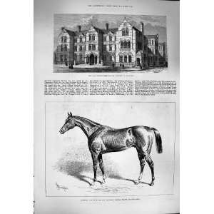   1877 London Hospital Children Shadwell Chamant Horse