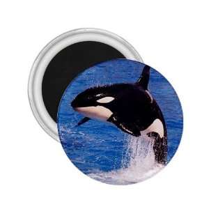  Orca Killer Whale Refrigerator Magnet