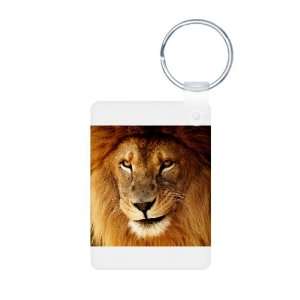  Aluminum Photo Keychain Male Lion Smirk 