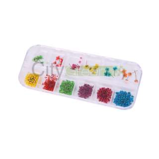 12 PCS Real Dry Dried Flower Case Nail Art Tips Design #4  