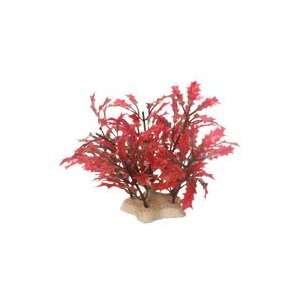   Natural Elements Crimson Water Holly   Cluster   4 5 in.
