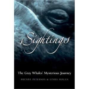  Sightings The Gray Whales Mysterious Journey [Paperback 