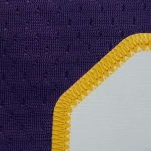 Sidney Rice EQT Jersey   Minnesota Vikings EQT Jersey (Purple)  