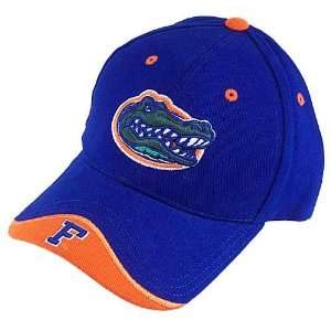    Florida Gators Royal Blue Iceberg Adjustable Hat