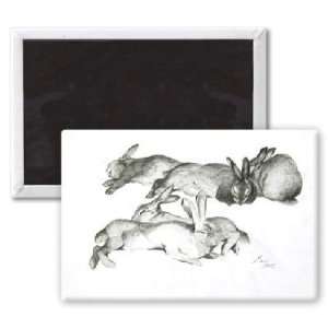 Rabbits Sleeping, 2005 (pencil on paper) by   3x2 inch Fridge Magnet 