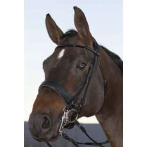  Vespucci Rolled Leather Weymouth Bridle