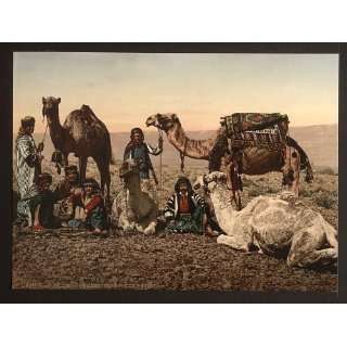  Camels halting in the desert, Holy Land