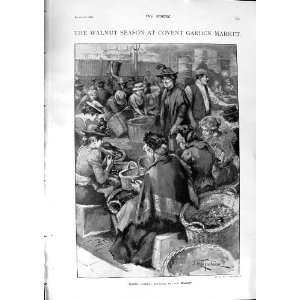   1900 WOMEN HUSKING WALNUTS COVENT GARDEN SOLDIERS GAME