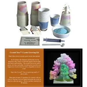 Nasco   CrystalTM Tree Crystal Growing Kit  Industrial 