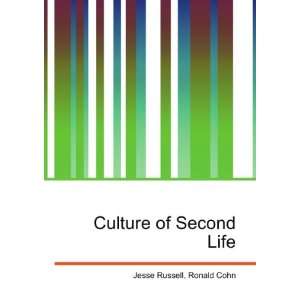  Culture of Second Life Ronald Cohn Jesse Russell Books