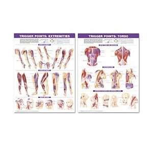   Point Chart Set Torso & Extremities 2nd Edition Paper Unmounted
