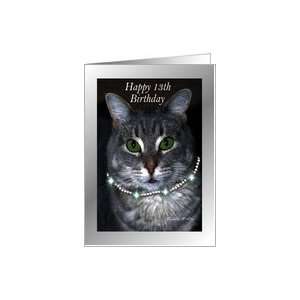  13th Happy Birthday ~ Spaz the Cat Card Toys & Games