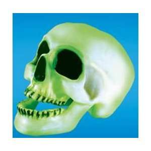  Skull Scream & Glow in the Dark Toys & Games