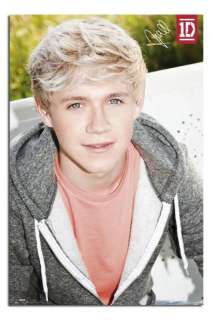   Niall Horan New Large Official Wall Poster   Free UK Delivery  