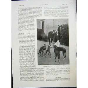  Annunzio Dogs Horse French Print 1933