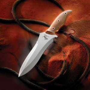    Equatorian Chile, S30V Steel, Fixed Blade