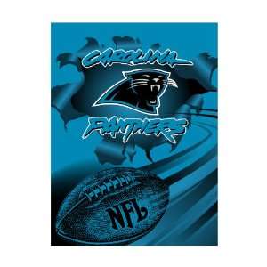  NFL Royal Plush Raschel 60x80 Blankets   Panthers Sports 