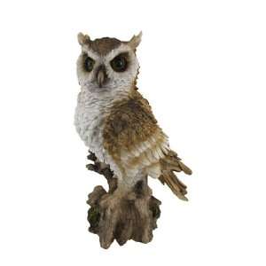  Natures Wisdom Perched Owl Statue Tabletop Accent Decor 