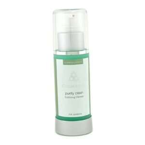  Purity Clean Exfoliating Cleanser Beauty