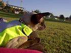 Mynwood Cat Walking Jacket Harness Vest Fluorescant Yellow High 