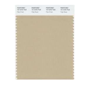  PANTONE SMART 15 1216X Color Swatch Card, Pale Khaki