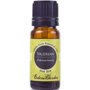 Valerian 100% Pure Therapeutic Grade Essential Oil  10 ml  