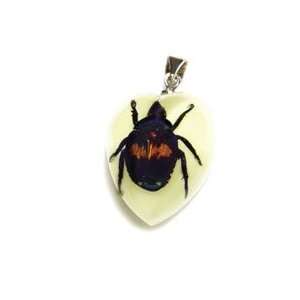  Real Insect Necklace, Small Lucky Chafer (Glow 