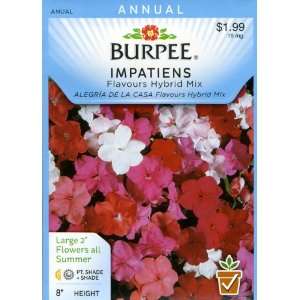  Burpee 30957 Impatiens Flavours Hybrid Mix Seed Packet 