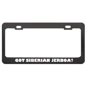 Got Siberian Jerboa? Animals Pets Black Metal License Plate Frame 