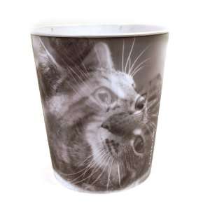  Kittens Lenticular / 3D Waste paper Cat Bin