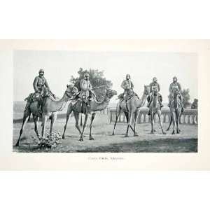  1906 Print Camel Corps Bikaneer India Rajasthen Northern India 
