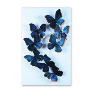  IRIDESCENT BLUE BUTTERFLIES WALL ART   LARGE Baby