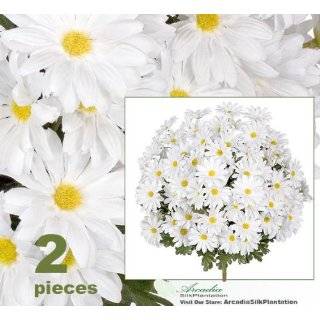 100 Wedding White Silk DAiSY Flowers 1 Inch Everything 