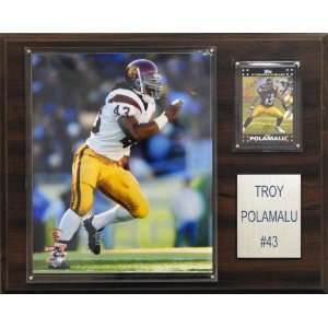  NCAA Football Troy Polamalu USC Trojans Player Plaque 