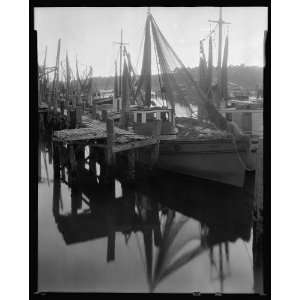  Shrimp fleet in harbor,St. Augustine,St. Johns County,Florida 