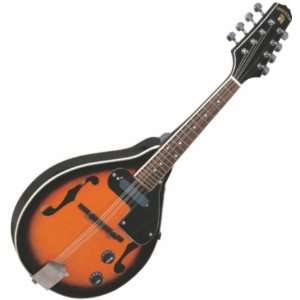    Indiana B M1E Acoustic Electric Mandolin Musical Instruments