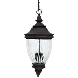 Capital Lighting Fixtures Battery Park Outdoor Hanging Lantern With A 