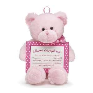   and Burton 9713952 Pink Birth Certificate Plush Bear 