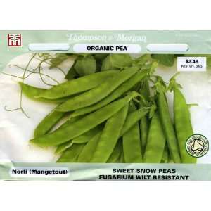  Thompson & Morgan 4744 Organic Pea Norli (Mangetout 