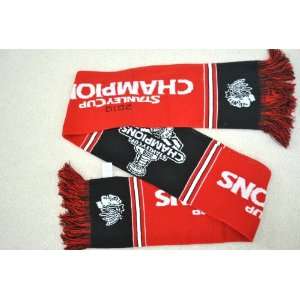   2010 STANLEY CUP CHAMPIONS NHL Stadium two sided Team logo Scarf
